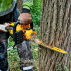 Fierastrau cu lant 54V 45cm 1x9.0Ah Dewalt DCMCS574X1 Profesional